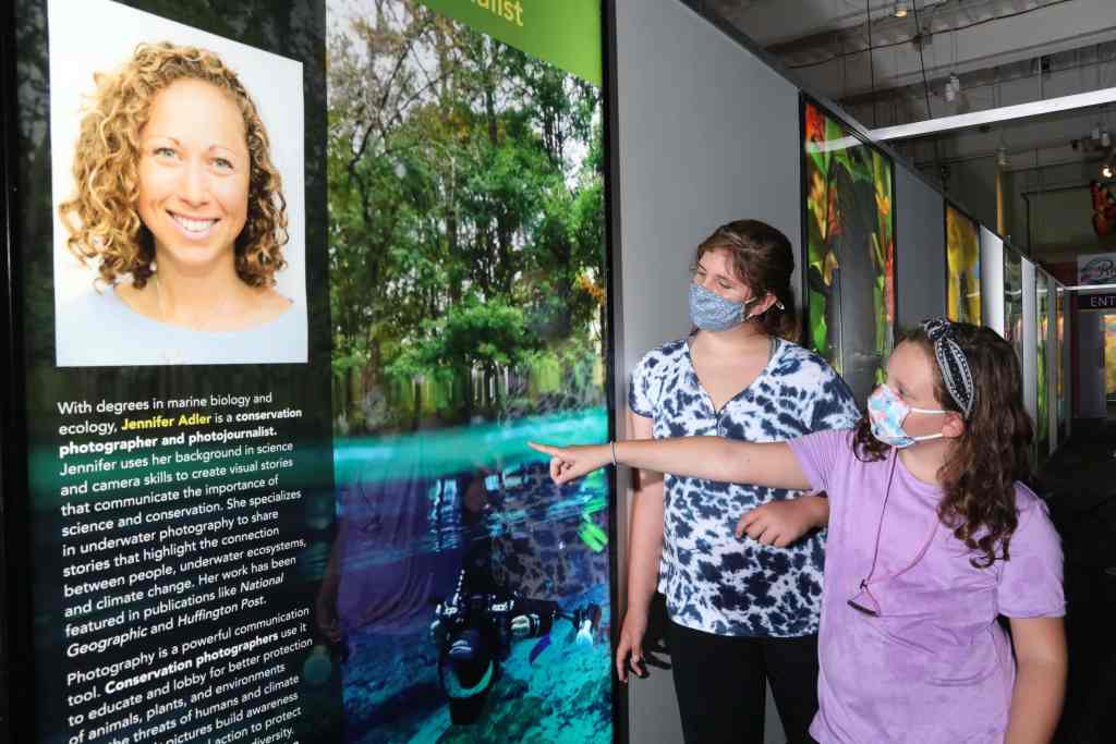 Woman and young girl viewing a museum exhibit.