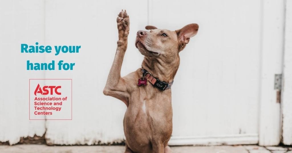 Dog raising its paw for ASTC