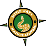 Copy of LITTLE_RAYS_NCs sm