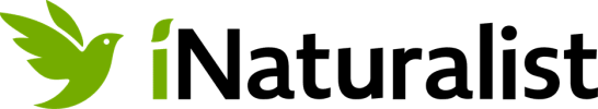 logo-iNaturalist